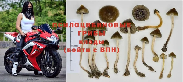 прущая мука Белокуриха